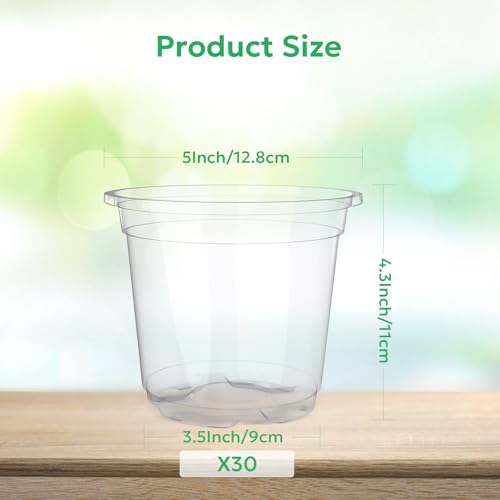 Bluepro Clear Nursery Pots with Drainage Holes, 5 Inch, 30-Pack - size: 5 Inch-30Pcs