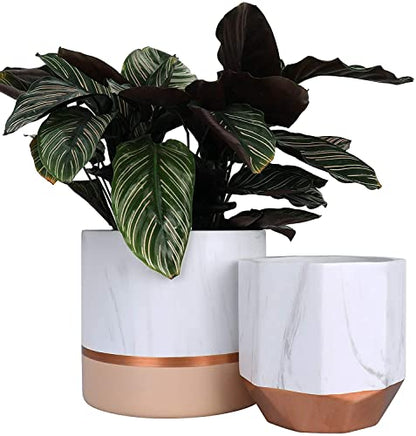 LA Jolie Muse Ceramic Flower Pots, 6.7 & 5.4 Inch Indoor Plant Pot Set of 2 - color: 6.7"+5.4"-white Pink