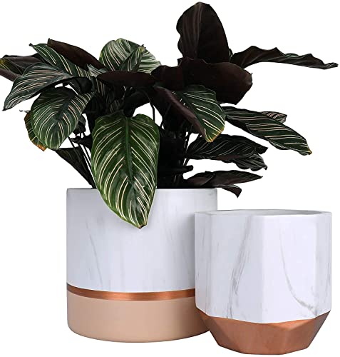 LA Jolie Muse Ceramic Flower Pots, 6.7 & 5.4 Inch Indoor Plant Pot Set of 2 - color: 6.7"+5.4"-white Pink