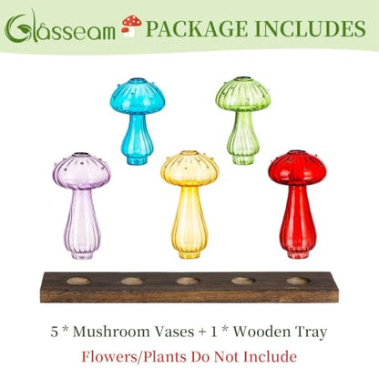Glasseam Mushroom Propagation Station, Glass Plant Terrarium Jars with Tray