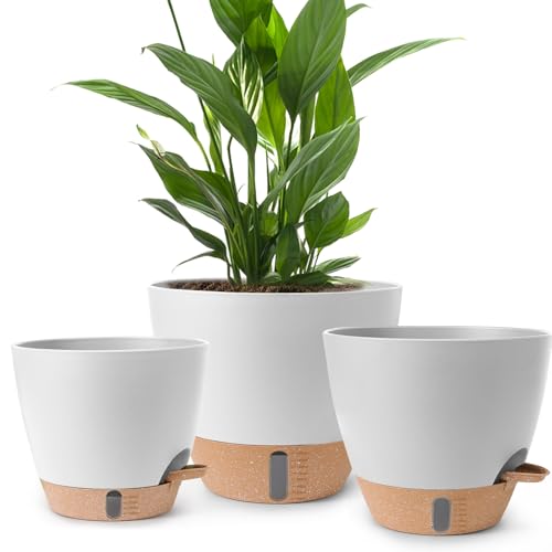 Self Watering Pots for Indoor Plants, 3 Pack 12/10/8 Inch, Large Planter with Water Reservoir, Modern Decorative Flower Pots for Home & Office White - color: White-small