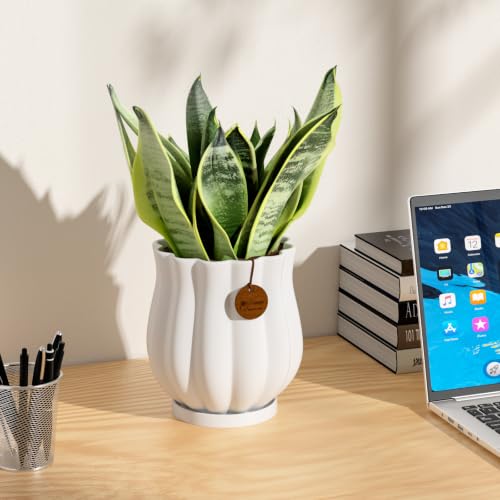 4.7" Matte White Ceramic Plant Pot with Saucer - color: Matte White, size: Small
