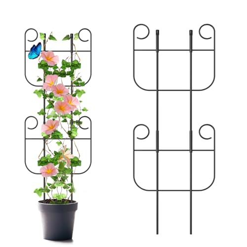 2 Pack Trellis for Climbing Plants Indoor, Expandable Small Metal Trellis for Potted Plants, Flowers Vine Ivy, Sturdy Houseplant Pothos Plant Climber Support - size: 2 Pack-15in(H)x10in(L)
