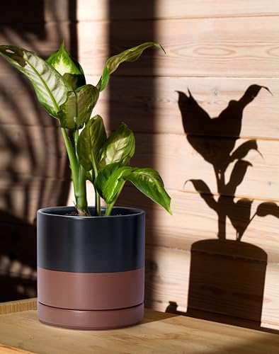 D'vine Dev 2-Pack Ceramic Pots with Saucers, Black/Tan, 4/6 in, 94-G-S-7 - color: Black/Speckled Tan, size: Small