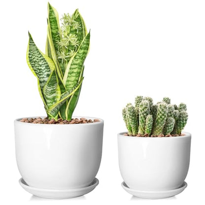 6.7 + 5.5 Inch Ceramic Plant Pot with Drainage and Saucer - size: 6.7 + 5.5 Inch 2 Pcs