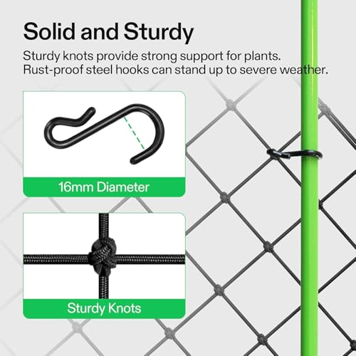 2x2 Ft Heavy Duty Elastic Trellis Netting for Climbing Plants -2-Pack Plant Support Net with 4 Hooks, Durable Polyester Mesh for Grow Tents, Vegetables, Fruits & Flowers (Black) - size: 2x2ft Stretched size-3mm d