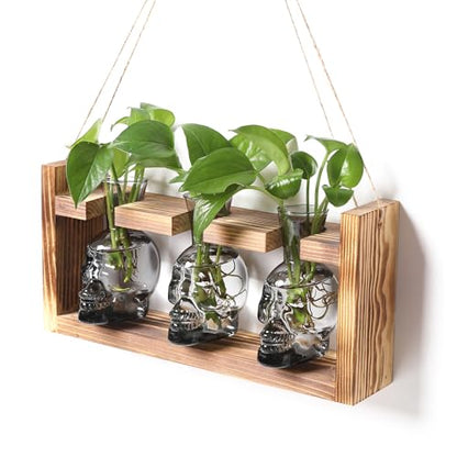 Plant Terrarium Propagation Stations Skull Planter Vase Skulls Decor - color: Grey