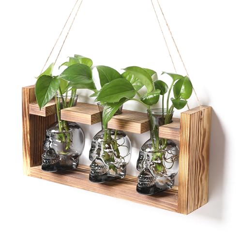 Plant Terrarium Propagation Stations Skull Planter Vase Skulls Decor - color: Grey