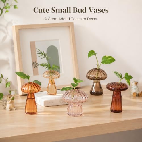 Glasseam Mushroom Plant Propagation Station, Small Glass Propagation Vases - color: Amber, size: 5