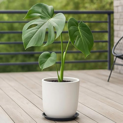 10 Pack Plant Saucer 20 Inches Plastic Drip Trays to Catch Water, Black - color: Black, size: 20 inch