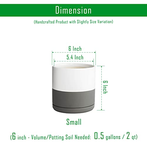 D'vine Dev Set of 2 Plants Pots, 6 Inch Ceramic Planter Pot for Plants with Drainage Hole and Saucer, White-Grey/Black-Tan, 94-V-C-C - color: White Grey/Black Tan, size: 6 Inch
