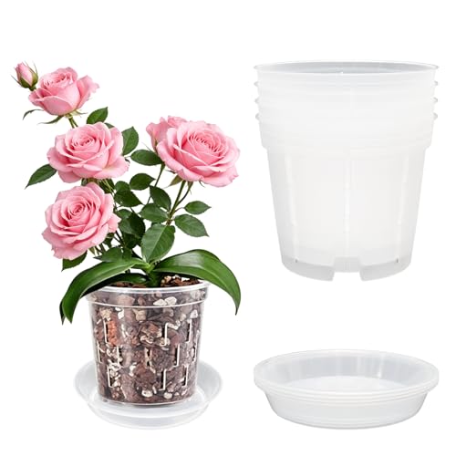 Orchid Pot with Saucers-Drainage Holes, 4 Pack 6 Inch Clear Plastic Breathable Slotted Pots for Repotting-Root Control Planter-Plastic Plant Pot for Butterfly Orchid, Hydroponics, Indoor & Outdoor - size: 6” with Saucers 4Pcs