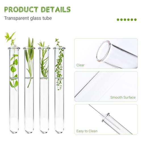 10 Pcs Glass Test Tubes for Plants, 18ml Clear Propagation Tubes with Brush, Round Bottom Testing Tube for Hydroponic Plants, Flowers, Home Office Wall Decor