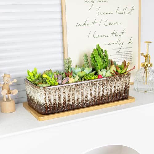 Succulent Pots, 12'' Long Rectangle Planters with Tray, Windowsill Planter - color: White