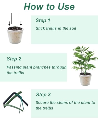 Black Small Plant Trellis for Climbing Plants Indoor, 13.8 Inch Trellis