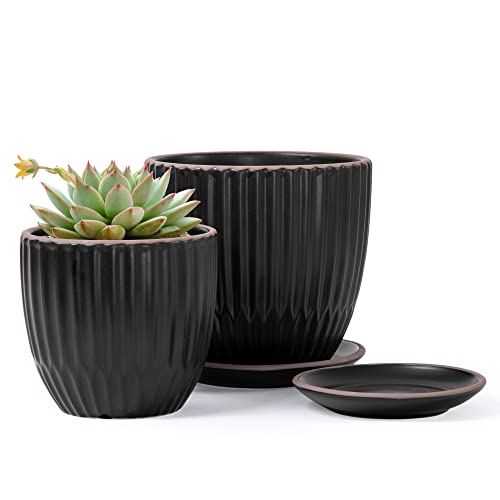 D'vine Dev 2-Pack Stoneware Planter Pots, 4.5/5.8 in, Black, 99-D-2 - color: Black