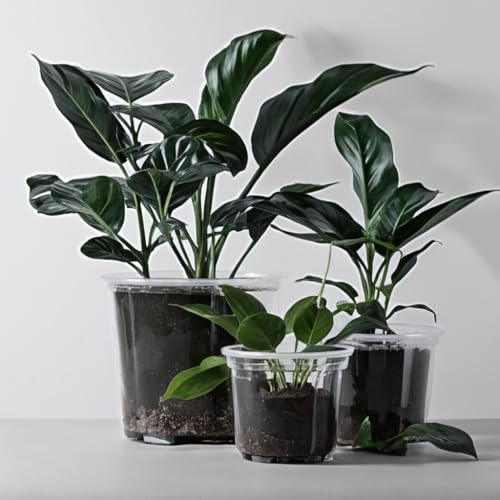 RAOOKIF 6/5/3.5 Inch Clear Nursery Pots with Drainage, 24 Pack Clear Nursery Pots for Plants, Flexible Plastic Garden Flower Pot - size: 3.5+5+6 INCH
