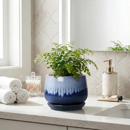 Ceramic Flower Pots, 6 Inch Plant Pot Indoor with Saucer, Deep Blue - size: 6 Inch, style: Deep Blue