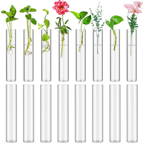 16 Tube Glass Plant Propagation Stations Clear Glass Test Tubes - color: Clear 16 Pcs