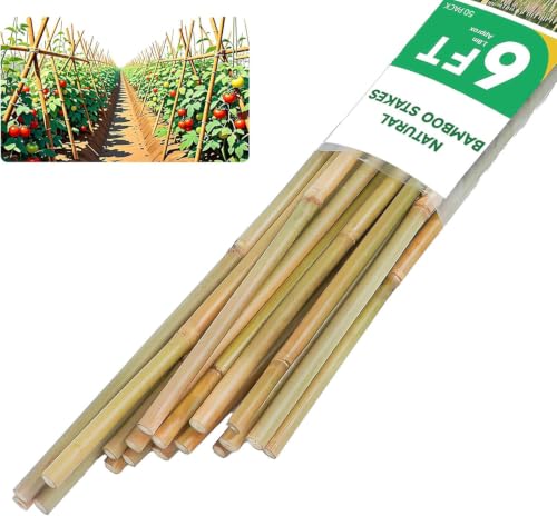 Natural Bamboo Plant Stakes (6ft-50pcs) - size: 6ft-50pcs