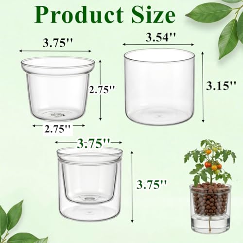 Tebery 2 Pcs Self Watering Pots for Indoor Plants, Clear Glass Plant Pots with Drainage Saucer, 3.75 Inch African Violet Planters for Houseplants Orchid Succulents, Ideal for Garden Home Decor