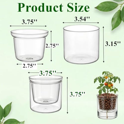 Tebery 2 Pcs Self Watering Pots for Indoor Plants, Clear Glass Plant Pots with Drainage Saucer, 3.75 Inch African Violet Planters for Houseplants Orchid Succulents, Ideal for Garden Home Decor
