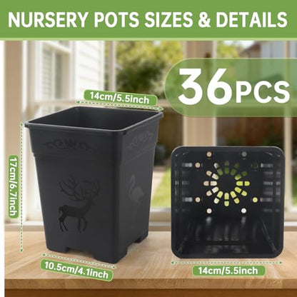 36 Pack 5.5 Inch Square Nursery Pots, Plastic Flower Pots with Drainage, Plant Pots for Plants, Reusable Planting Pots Planter for Seedlings, Transplanting & Indoor Use