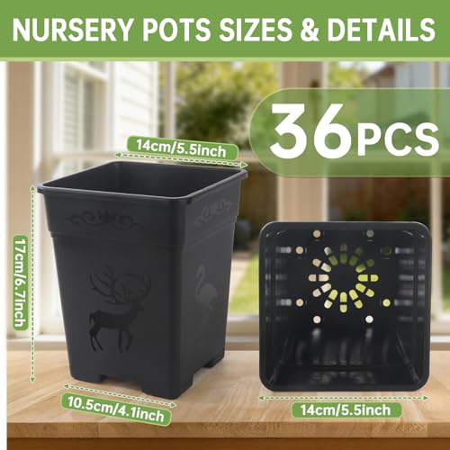 36 Pack 5.5 Inch Square Nursery Pots, Plastic Flower Pots with Drainage, Plant Pots for Plants, Reusable Planting Pots Planter for Seedlings, Transplanting & Indoor Use