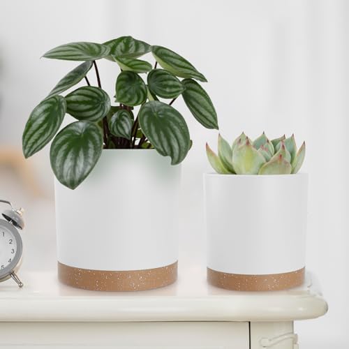 YNNICO Plant Pots with Drainage Holes and Saucers – 7, 6.5, 6, 5, 4 Inch Plastic Planters for Indoor Outdoor Plants, Modern Matte Finish, Lightweight & Durable（White - color: White