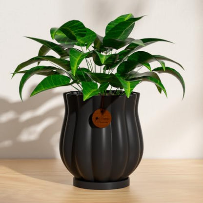 5.8" Matte Black Ceramic Plant Pot with Saucer - color: Matte Black, size: Medium