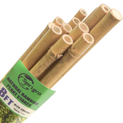 Bamboo Stakes Approx 8ft, 92 inch Garden Stakes Multi-Purpose, Bamboo Plant Support Stakes for Tomatos, Beans, Cucumbers, Peppers, Potted Trees, Maintain the plant Posture, Strengthen and Stem - size: 8FT,Pack of 10