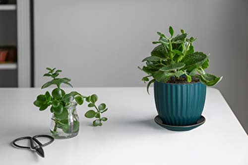 D'vine Dev 2-Pack Stoneware Planter Pots, 4.5/5.8 in, Deep Teal, 99-D-4 - color: Dark Blue Green