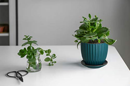 D'vine Dev 2-Pack Stoneware Planter Pots, 4.5/5.8 in, Deep Teal, 99-D-4 - color: Dark Blue Green