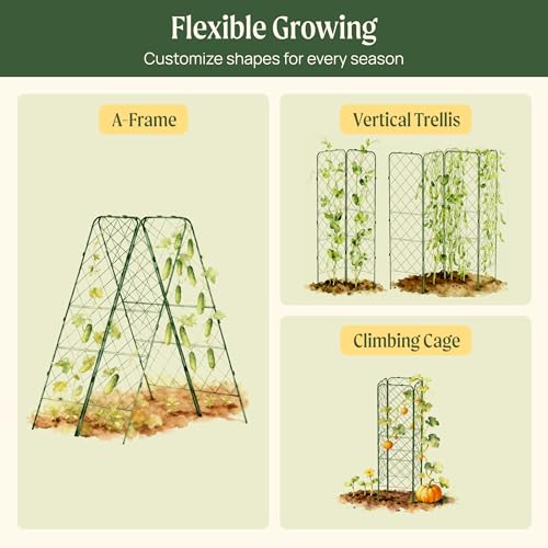 Vego Garden A-Frame Trellis 80" Tall Cucumber Cage for Garden & Pots, Rust-Resistant Tomato Stakes Heavy Gauge Plant Cage Trellis Support for Climbing Vegetables Plants 2 Pack - size: 80" Tall