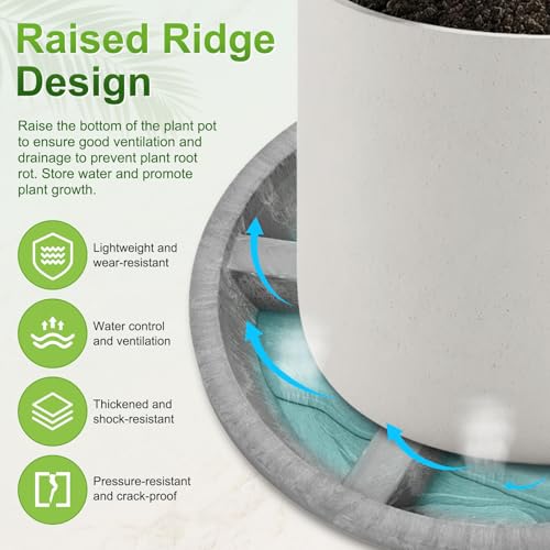 M METERXITY 2-Pack Plant Saucers, 6 Inch OD Anti-Rot Root Resin Flower Pot Plant Saucers for Indoor/Outdoor, Flowerpot Drip Tray [4.7 Inch ID, Gray] - color: Gray, size: 6 Inch OD