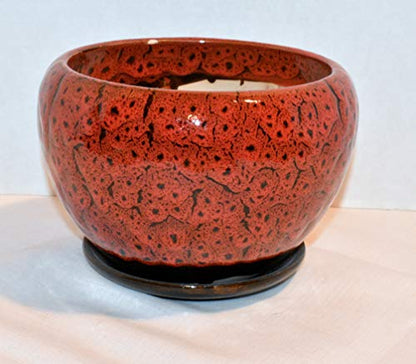 New 6.5" Burnt Red & Black Cheetah Speckled Potbelly Planter Plant Pot & Saucer