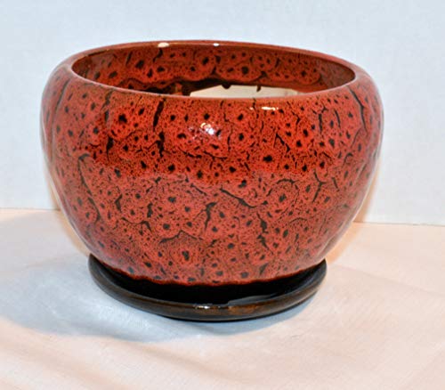 New 6.5" Burnt Red & Black Cheetah Speckled Potbelly Planter Plant Pot & Saucer