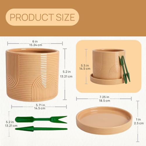 6 Inch Ceramic Plant Pot with Drainage Hole & Tray – Buttercream - color: Buttercream