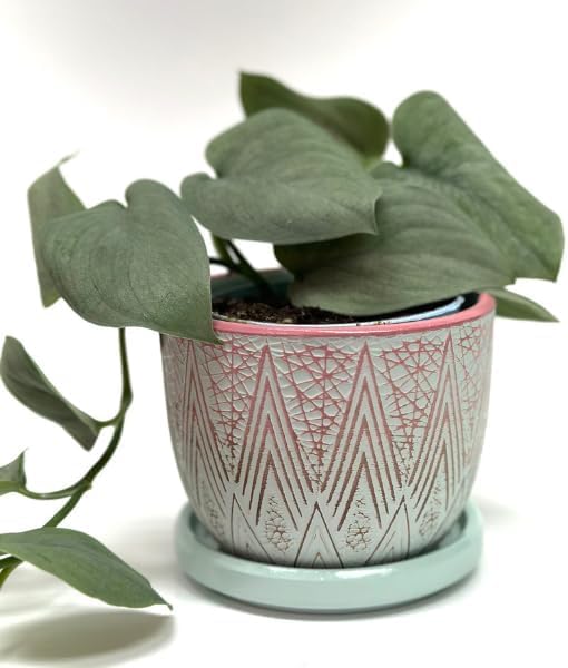 Plant Pots with Drainage 3 Inch Diameter Home Decor Indoor Ceramic Wide Planters with Saucer for Live Plants Outdoor Houseplants for Home Office Wedding Birthday Gift (Pacific) - color: Pacific