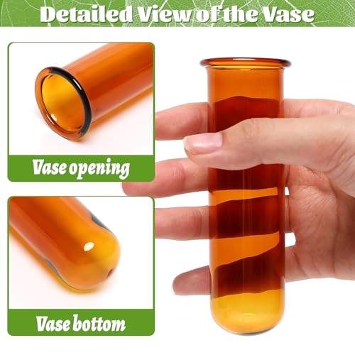 Glass Plant Propagation Station with 5 Test Tubes Colorful Planter Vase - color: Amber