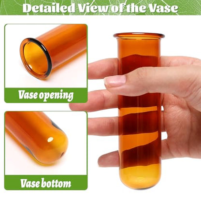 Glass Plant Propagation Station with 5 Test Tubes Colorful Planter Vase - color: Color-01
