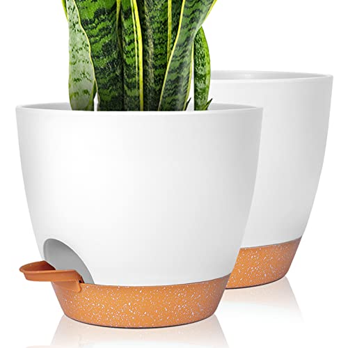 GARDIFE Plant Pots Set of 2 Pack 8 inch,Planters for Indoor Plants with Drainage Holes, Modern Decorative Flower Pots for All House Plants, Flowers, White - color: 8-white, size: 8 inch|2 pcs