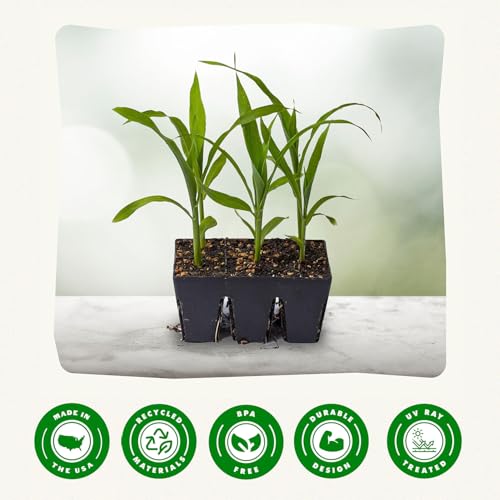 Epic Gardening 6-Cell Seed Starter Tray - 6 Trays - Black - color: Black