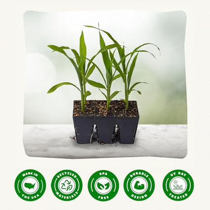Epic Gardening 6-Cell Seed Starter Tray - 6 Trays - Black - color: Black
