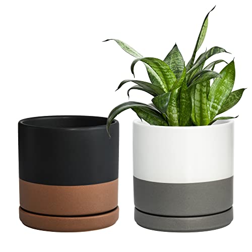 D'vine Dev Set of 2 Plants Pots, 6 Inch Ceramic Planter Pot for Plants with Drainage Hole and Saucer, White-Grey/Black-Tan, 94-V-C-C - color: White Grey/Black Tan, size: 6 Inch