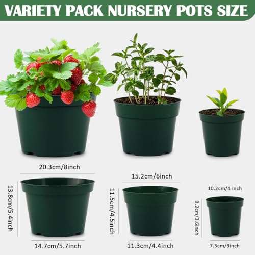 RooTrimmer 15 Pack 4/6/8 Inch Plant Nursery Pots, Sturdy Plant Pots with Drainage Holes, Ideal for Seedlings, Indoor/Outdoor Use, Green - color: Green, size: Mix 4/6/8 Inch 15 Pack
