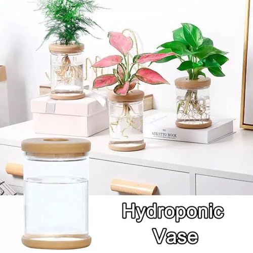 Desktop Plant Propagation Station, Hydroponic Glass Vase Water Plant Jars, Modern Desktop Gardening Decor for Home Office