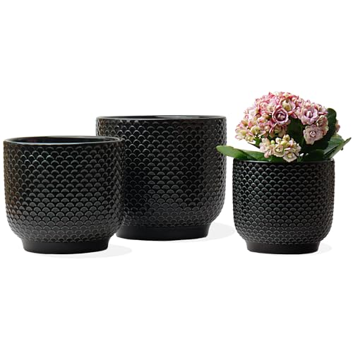 4 + 5 + 6 Inch Ceramic Pots for Indoor Plants, Succulents Plant Pots, Orchid Flower Pot with Drainage Hole, Modern Clay Stoneware Planters, Set of 3 (Black, 4+5+6 Inch) - color: Black