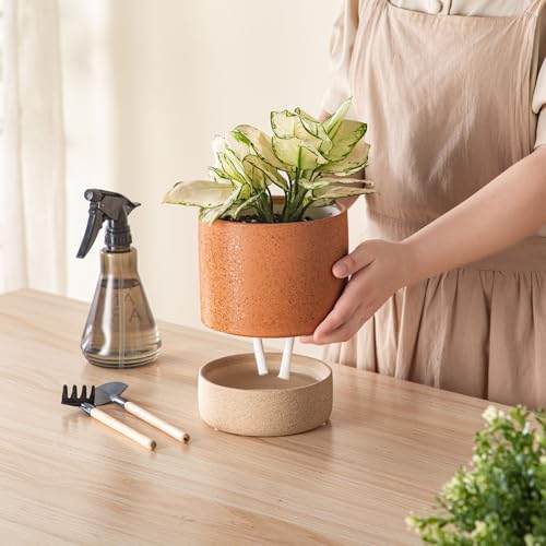 6 Inch Ceramic Self Watering Planter with Drainage Hole Terracotta - color: Terracotta, size: Small