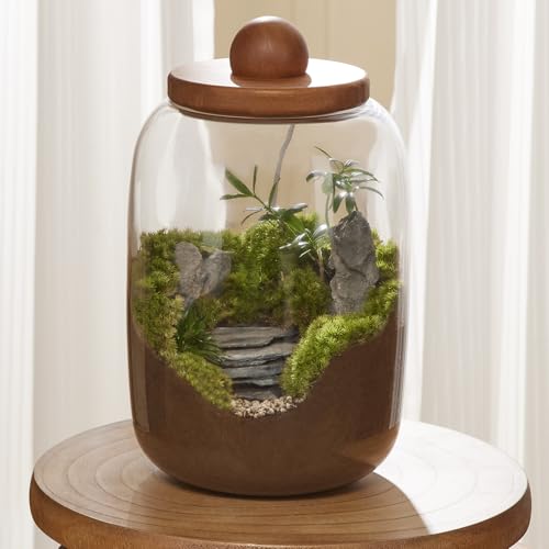 Plant Terrarium with Grow Light: 8.6H+6.3W Glass Terrarium - size: H-8.6IN